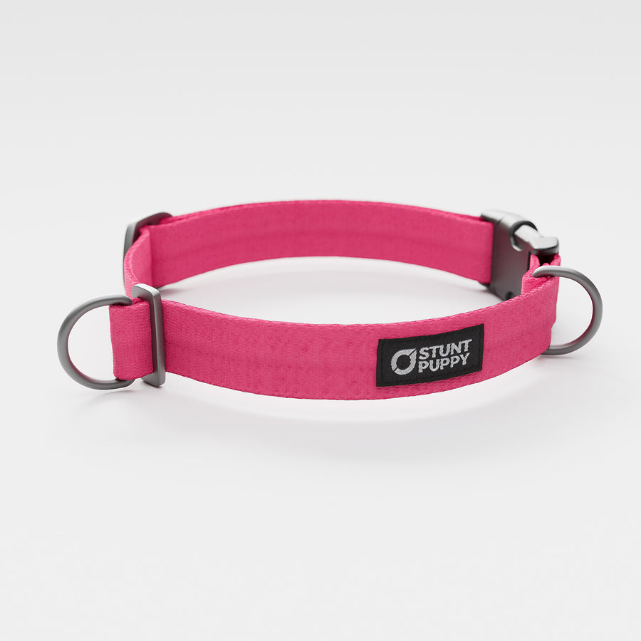 Everyday Collars ONLY – Stunt Puppy