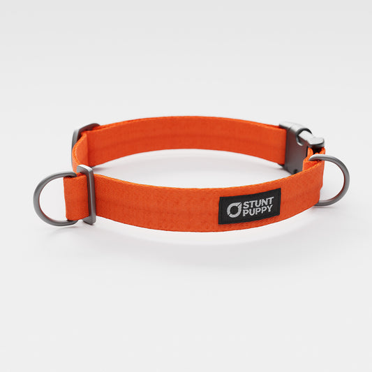 Clementine Monochrome Everyday Collar