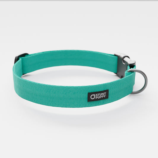 Lagoon Monochrome Everyday Collar
