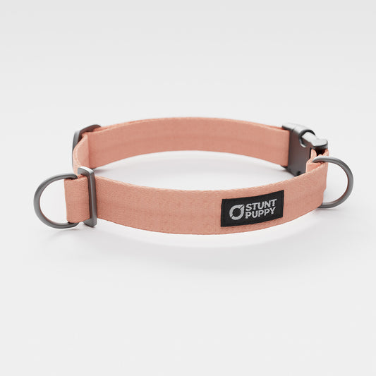 Paloma Monochrome Everyday Collar