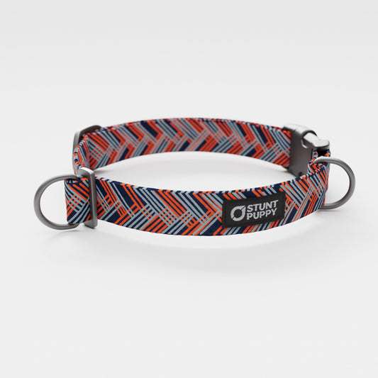 Denver Bark-Os Everyday Collar