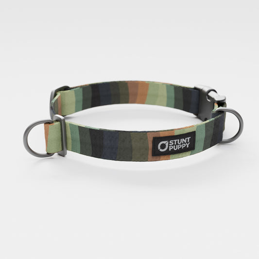 Earthtone Rainbow Everyday Collar