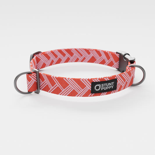 Fishtail Red White Everyday Collar