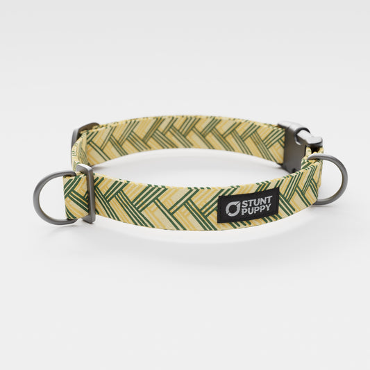 Fishtail Yellow Green Everyday Collar