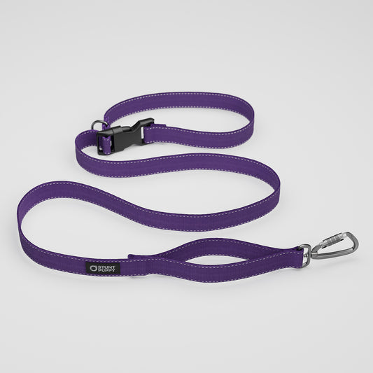 Jelly Monochrome Everyday Leash™