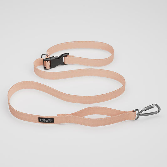 Paloma Monochrome Everyday Leash™