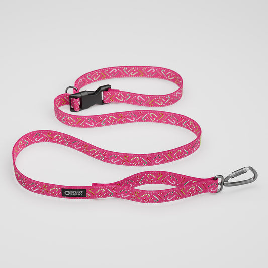 Candy Canes Pink Everyday Leash™