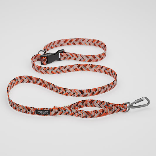 Cincinatti Beagles Everyday Leash™