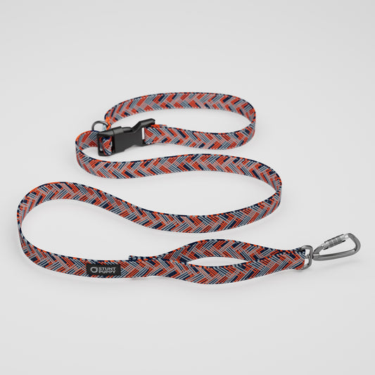 Denver Bark-Os Everyday Leash™
