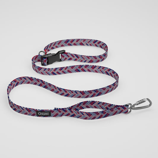 New York Giant Schnauzers Everyday Leash™
