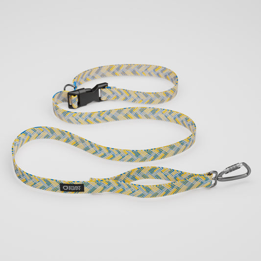 LA Chewers Everyday Leash™