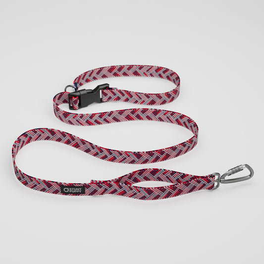 New England Paw-Triots Everyday Leash™