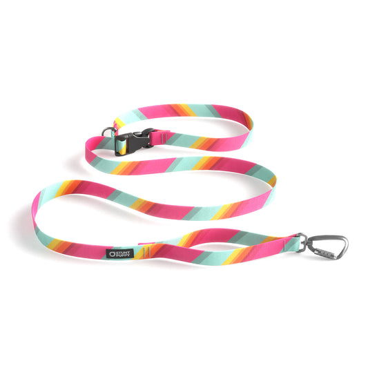 All Are Welcome Here Everyday Leash™