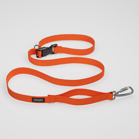 Clementine Monochrome Everyday Leash™