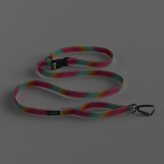 All Are Welcome Here Everyday Leash™