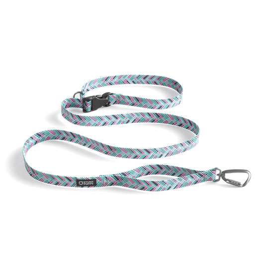 Fishtail Teal Everyday Leash™