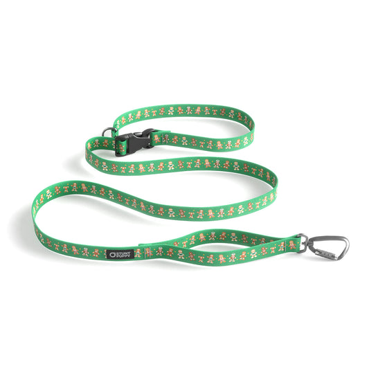 Gingerbread Green Everyday Leash™