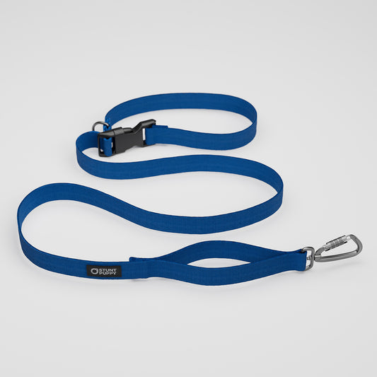 Lake Monochrome Everyday Leash™