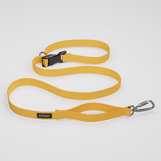 Marigold Monochrome Everyday Leash™