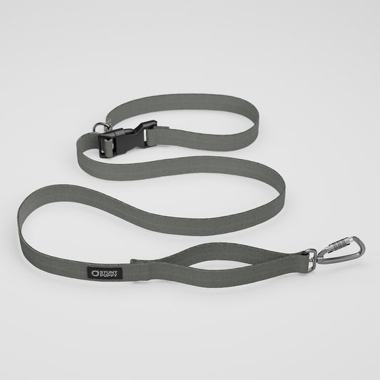 Wet Cement Monochrome Everyday Leash™