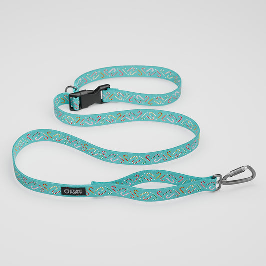 Candy Canes Aqua Everyday Leash™