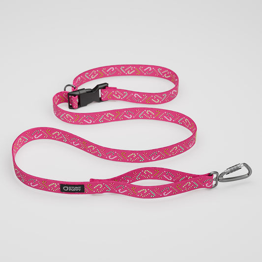 Candy Canes Pink Everyday Leash™