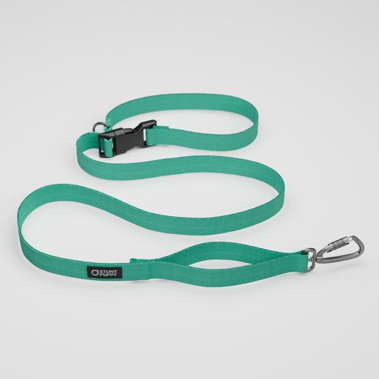 Lagoon Monochrome Everyday Leash™