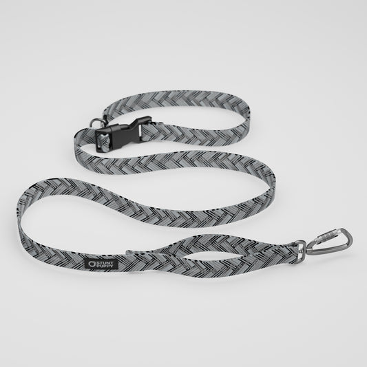 Las Vegas Waggers Everyday Leash™