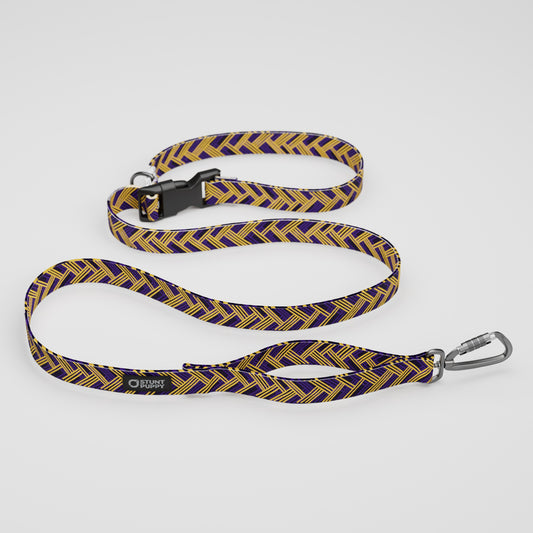 Minnesota Barkings Everyday Leash™