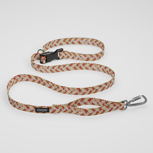 San Francisco K9ers Everyday Leash™