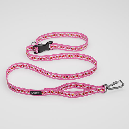 Santa Hats Pink Everyday Leash™