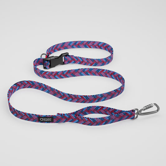 Tennesee Tail-Waggers Everyday Leash™
