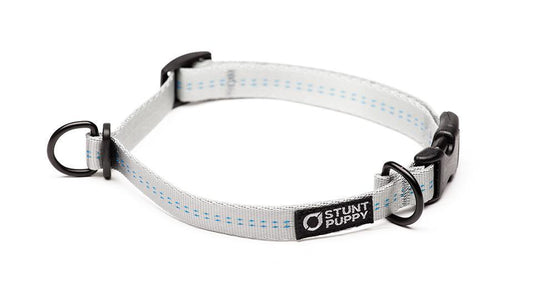 Classic Silver Everyday Collar™