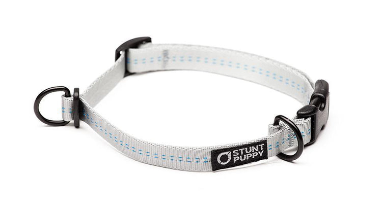 Classic Silver Everyday Collar™ – Stunt Puppy