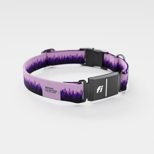 Fi GPS Included Pines Purple Everyday Collar (6 month subscription)
