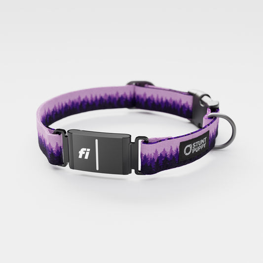 Fi GPS Included Pines Purple Everyday Collar (6 month subscription)