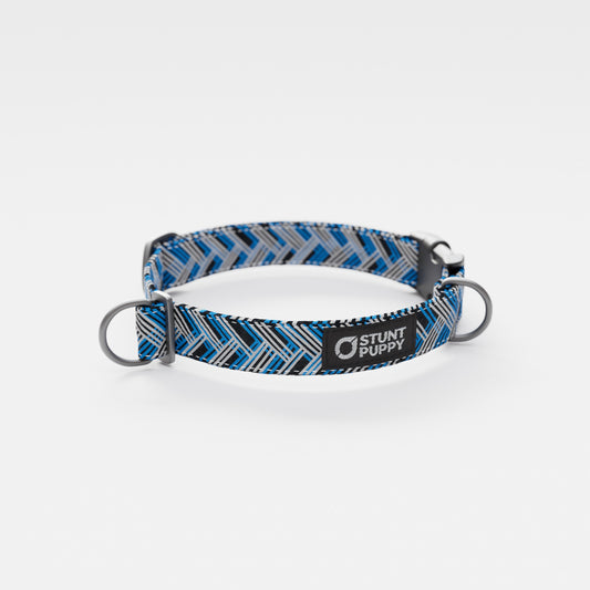 Carolina Panters Everyday Collar