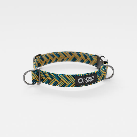 Jacksonville Ride-In-The-Cars Everyday Collar