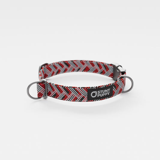 Tampa Bay Bark-aneers Everyday Collar