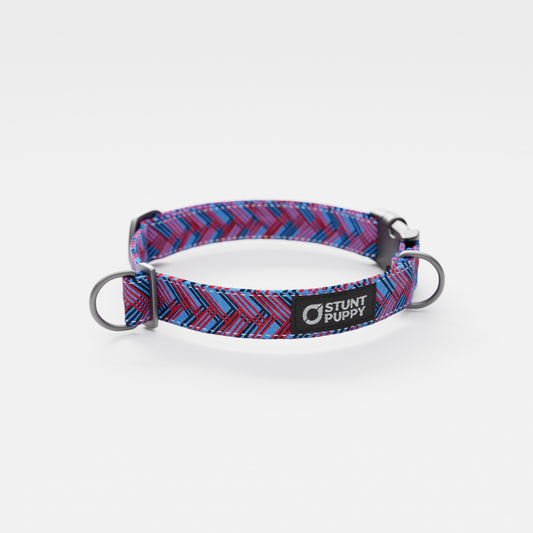 Tennesee Tail-Waggers Everyday Collar