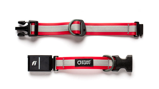 Fi GPS Included Go Dog Glo Red Dry Collar™