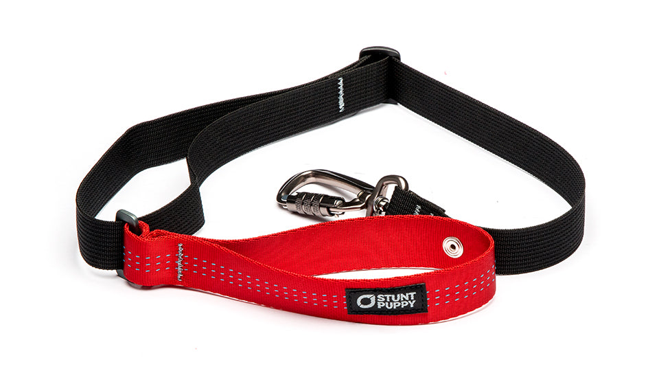 Stunt Puppy Dog Leash - Red - Pattern Leash