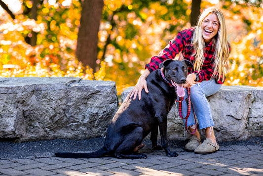 Stunt Puppy x The Vermont Flannel Co Red Buffalo Everyday Collar