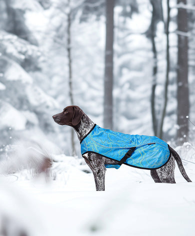 Dog in snow wearing Stunt Puppy Sub Woofer Jacket