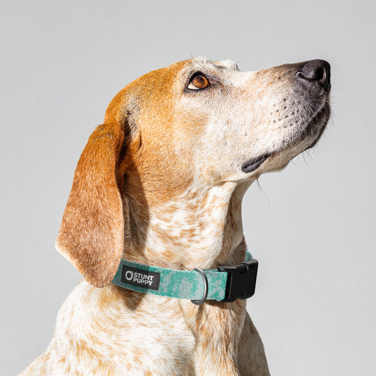 Camo Mint Everyday Collar