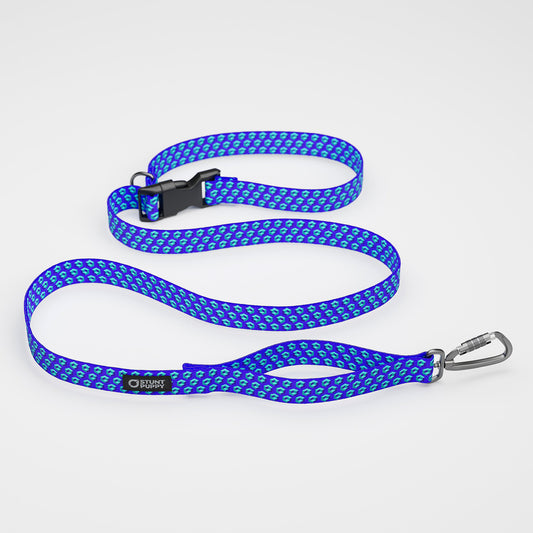 Cubular Blue Everyday Leash™
