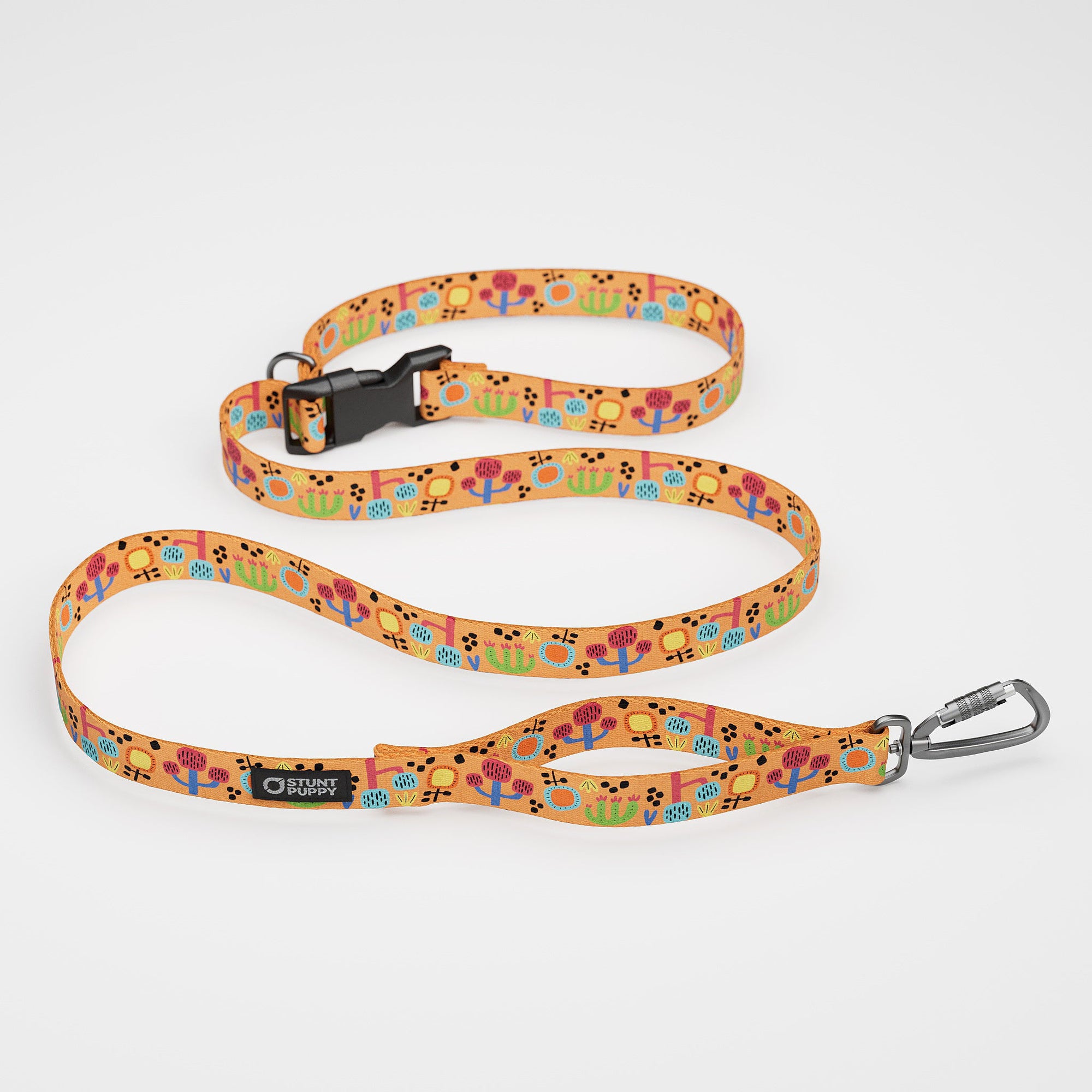 Sunrise leash