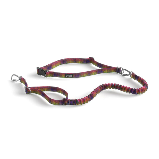 Stunt Runner™ Hands-Free Leash Jammin Dragon Skin