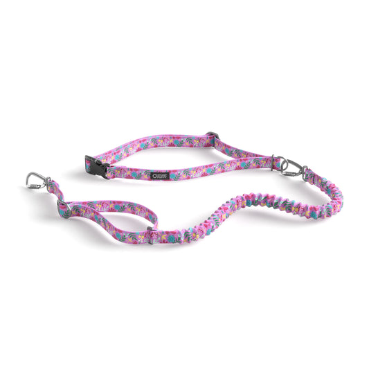 Stunt Runner™ Hands-Free Leash Frolic Summer