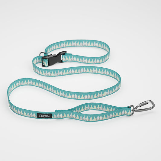 Holiday Forest Everyday Leash™